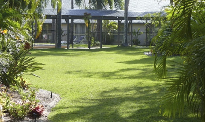 Tropical garden lawn area