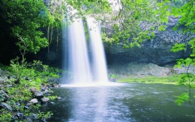 Most Scenic Ballina Attractions Locals Love Most