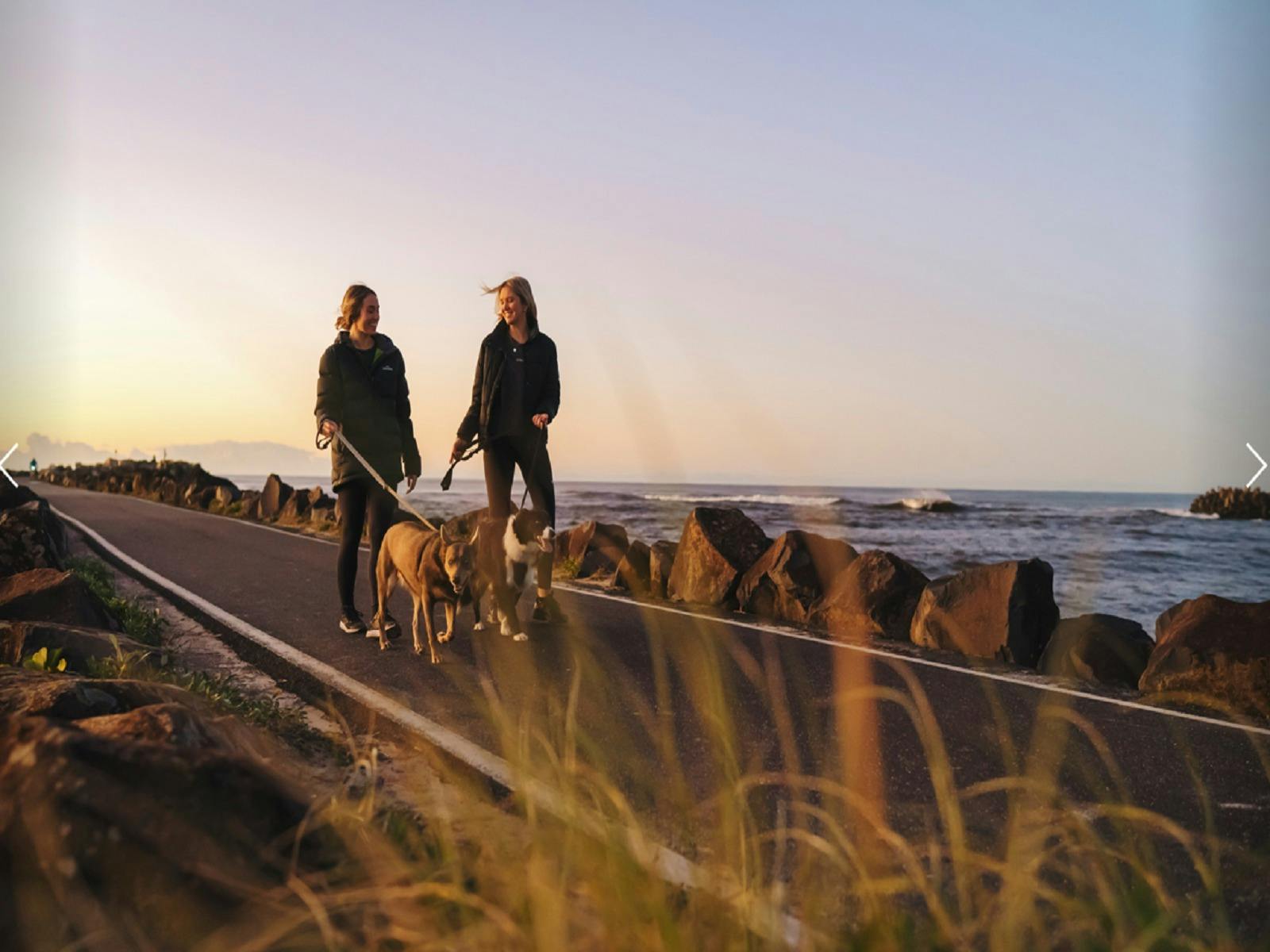 People walking dogs along the North Wall breakwall path at sunrise in Ballina