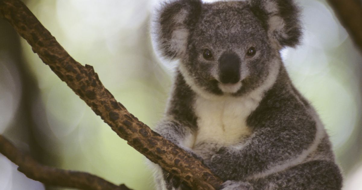 Festival-goers at Byron Writers Festival in Byron Bay